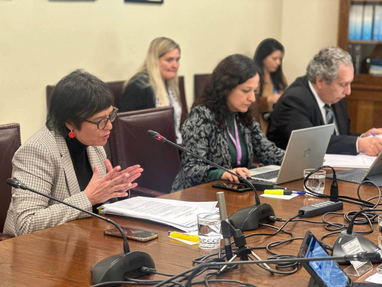 Defensora Nacional cuestiona proyecto que penaliza ingreso clandestino y advierte riesgos de discriminación