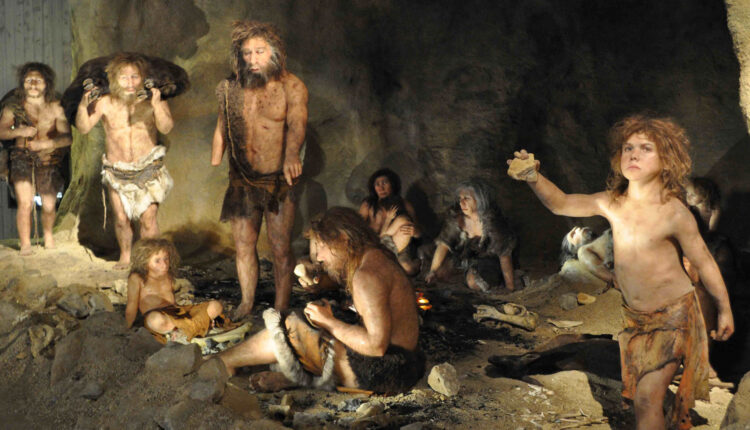 ADN Neandertal 