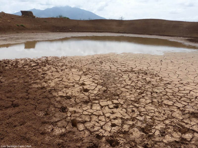 Cambio climático causó 26 días de calor extremo en el mundo en 2023