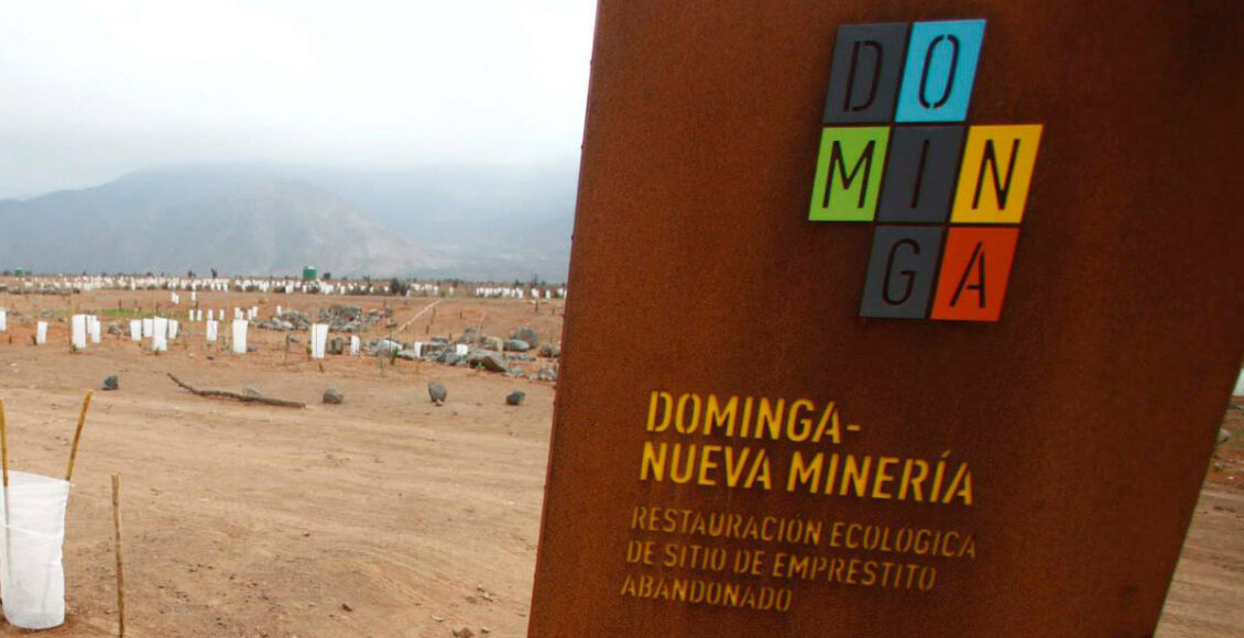 minera Dominga