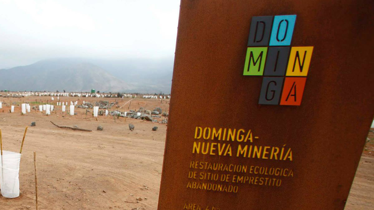 minera Dominga
