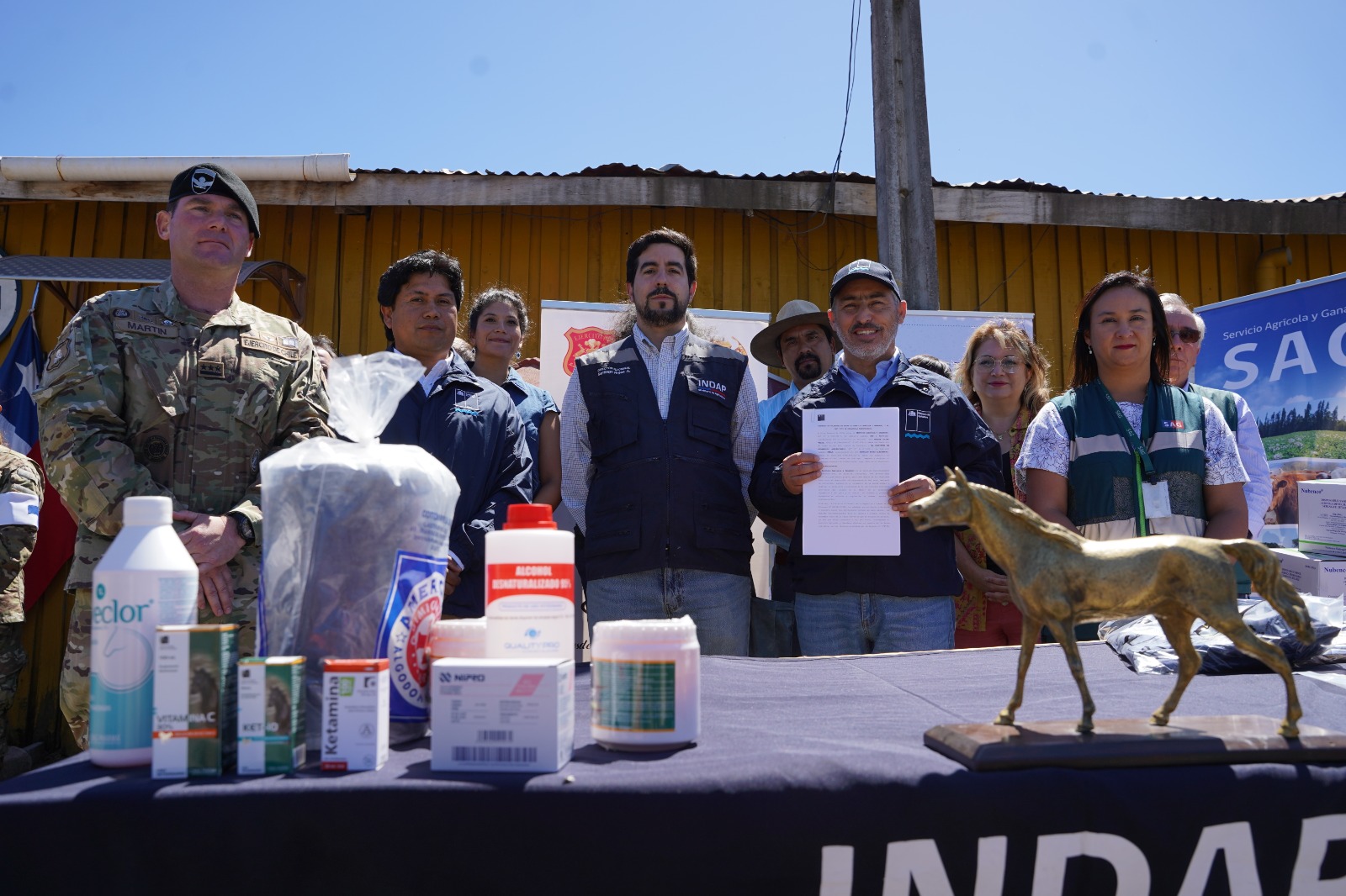 Convenio entre INDAP Y SAG permitirá atención médica a animales lesionados en incendios forestales de Ñuble, Biobío y La Araucanía