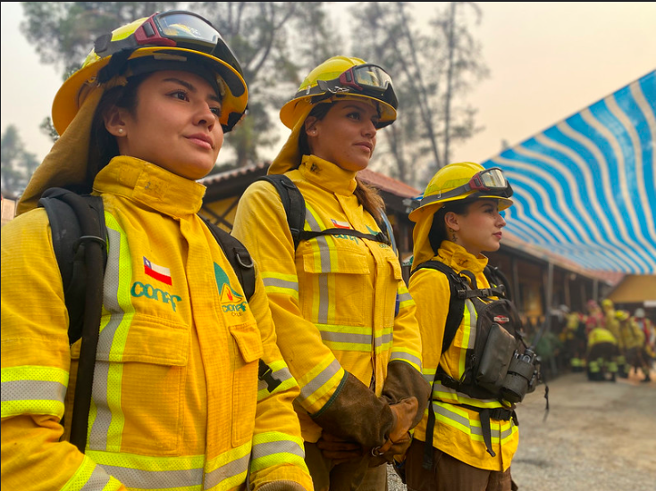 Ministra del Interior llamó a colaborar y no obstaculizar trabajo de brigadistas y bomberos