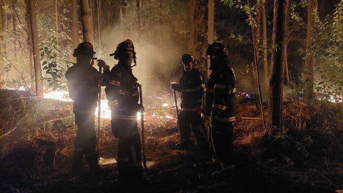 Cuerpo de Bomberos de Santiago inicia campaña en apoyo a damnificados por incendios forestales