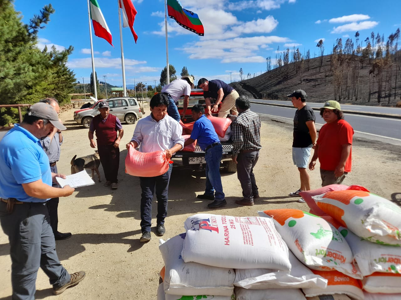 Una cadena de generosidad se registró en la provincia de Malleco para ir en ayuda de dos comunidades que sufrieron graves daños y pérdidas productos de los incendios forestales en la comuna de Lumaco, donde se vieron afectadas viviendas y animales. Luis Penchuleo Morales, Director Nacional de CONADI, manifestó que “me siento orgulloso a pesar de la tragedia que se está viviendo acá en esta comuna, por la solidaridad mostrada por la comunidad Andrés Calbuñir, quien donó más de 3 toneladas de trigo, avena y harina para las familias indígenas afectadas en Lumaco. Lo destacado es que los cereales fueron cultivados en tierras adquiridas por CONADI, que han sido productivas y ahora son la base de esta maravillosa acción solidaria”. El lonko Hernán Calbuñir de la comunidad Andrés Calbuñir, manifestó que “nosotros hace años también sufrimos por la acción del fuego grandes daños en nuestra comunidad, por lo que ahora, nosotros con la producción de trigo y avena que tenemos en nuestras tierras en Victoria adquiridas por CONADI vamos en ayuda de nuestros hermanos mapuche de Lumaco, nos coordinamos con el Director Nacional de CONADI y llegamos en camionetas a dejar la ayuda”. Una de las beneficiadas por esta ayuda fue la familia de Gina Paillama, del sector Hueico de Lumaco, quien señaló que “el fuego arrasó con varias casas de la comunidad, además de dejar muy débiles a nuestros animales por falta de forraje, por lo que esta ayuda nos viene muy bien, agradecemos a nuestros hermanos mapuche por este acto de generosidad”. Cabe destacar que en la comuna de Lumaco y Purén han sido múltiples las muestras de solidaridad que han recibido los integrantes de comunidades mapuche afectados por el fuego, pero esta vez, por parte de otras comunidades que no se vieron afectados por los incendios y tienen tierras que hacen productivas en La Araucanía.