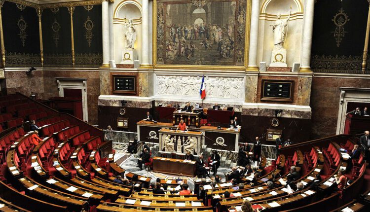 Consejo Constitucional francés rechaza referéndum sobre prestaciones  sociales de reforma migratoria - El Periodista