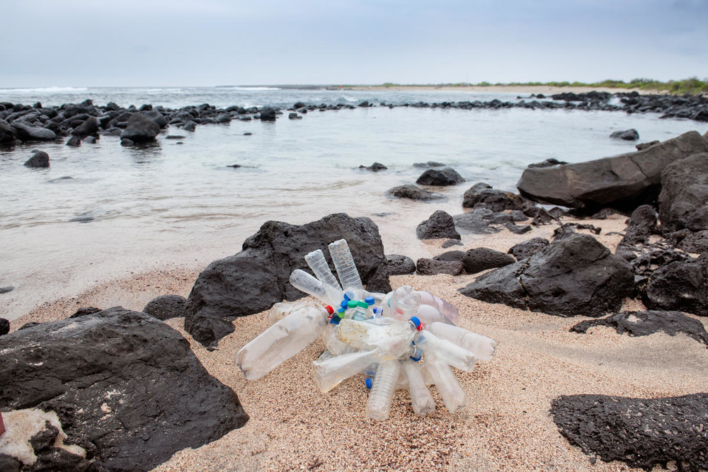 “En los cafés ya se nota el cambio”: Oceana valora inicio pleno de la Ley de Plásticos de un Solo Uso