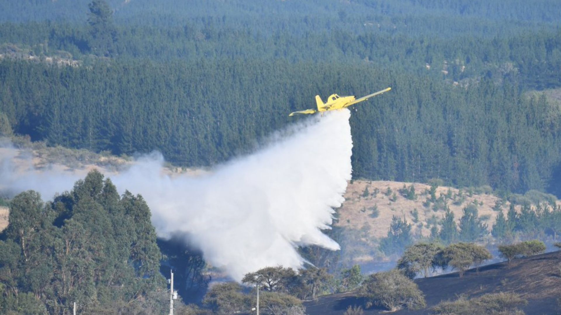 Argentina agradece a Chile por envío de aeronaves para combatir incendios en Patagonia