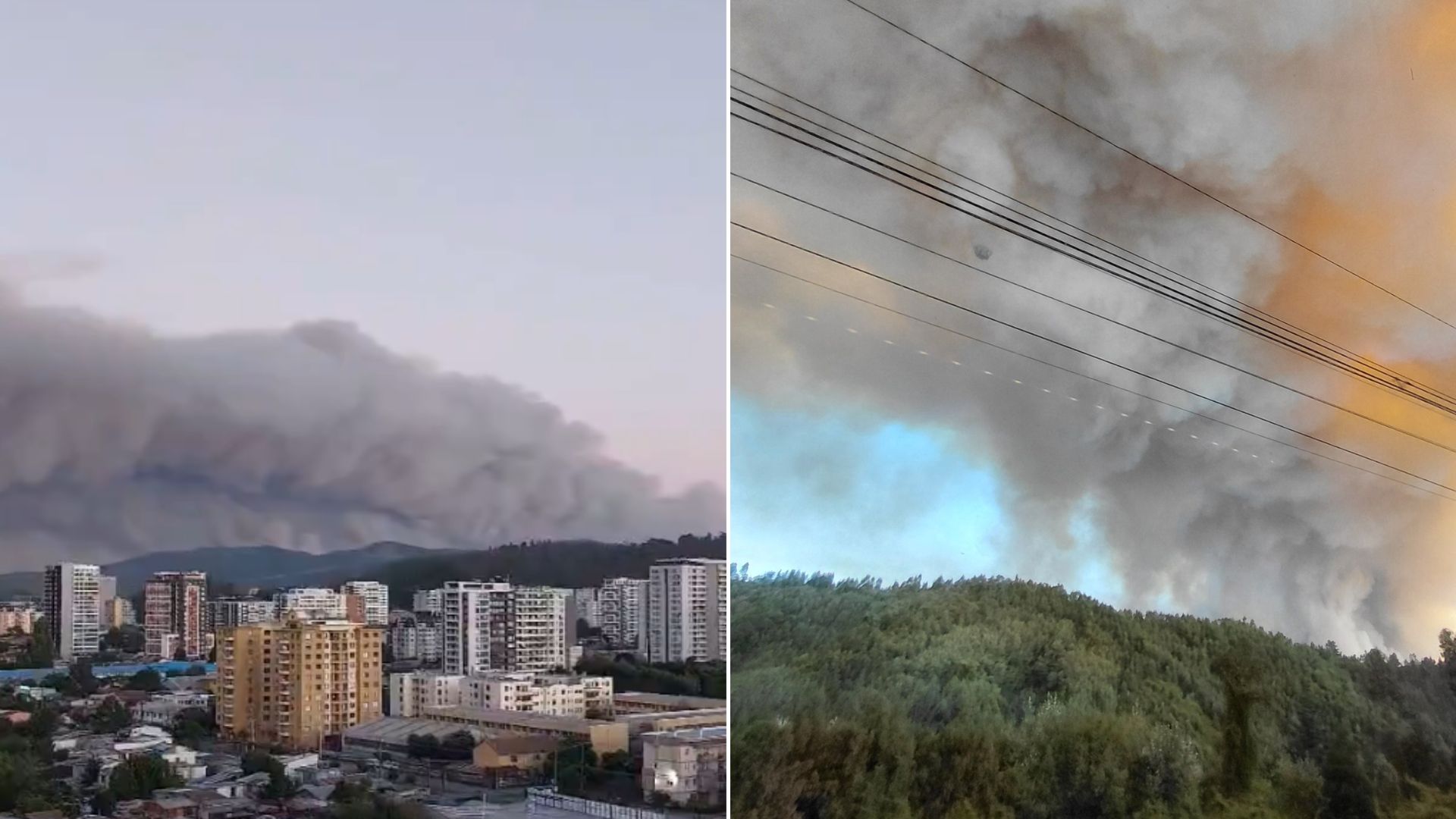 Incendios forestales obligan a evacuar sectores del Biobío y Ñuble: autoridades declaran alertas rojas