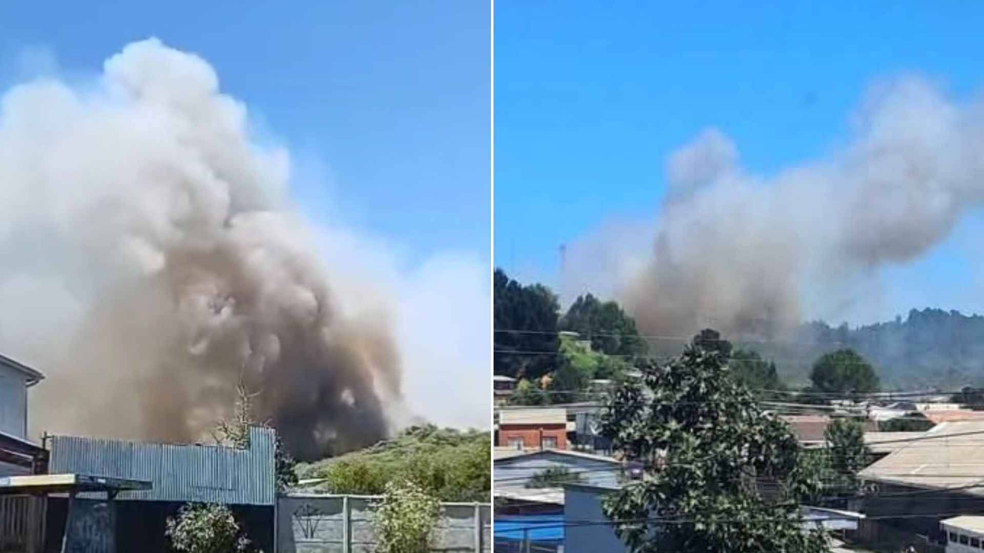 Declaran Alerta Roja en Coronel por incendio forestal y evacúan sector La Obra