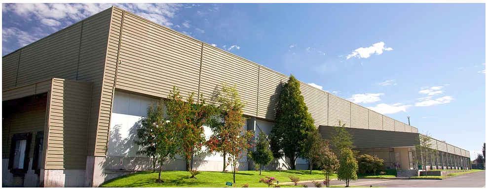 Salmonera recibe multa de 100 UTM por verter desechos en centro de cultivo