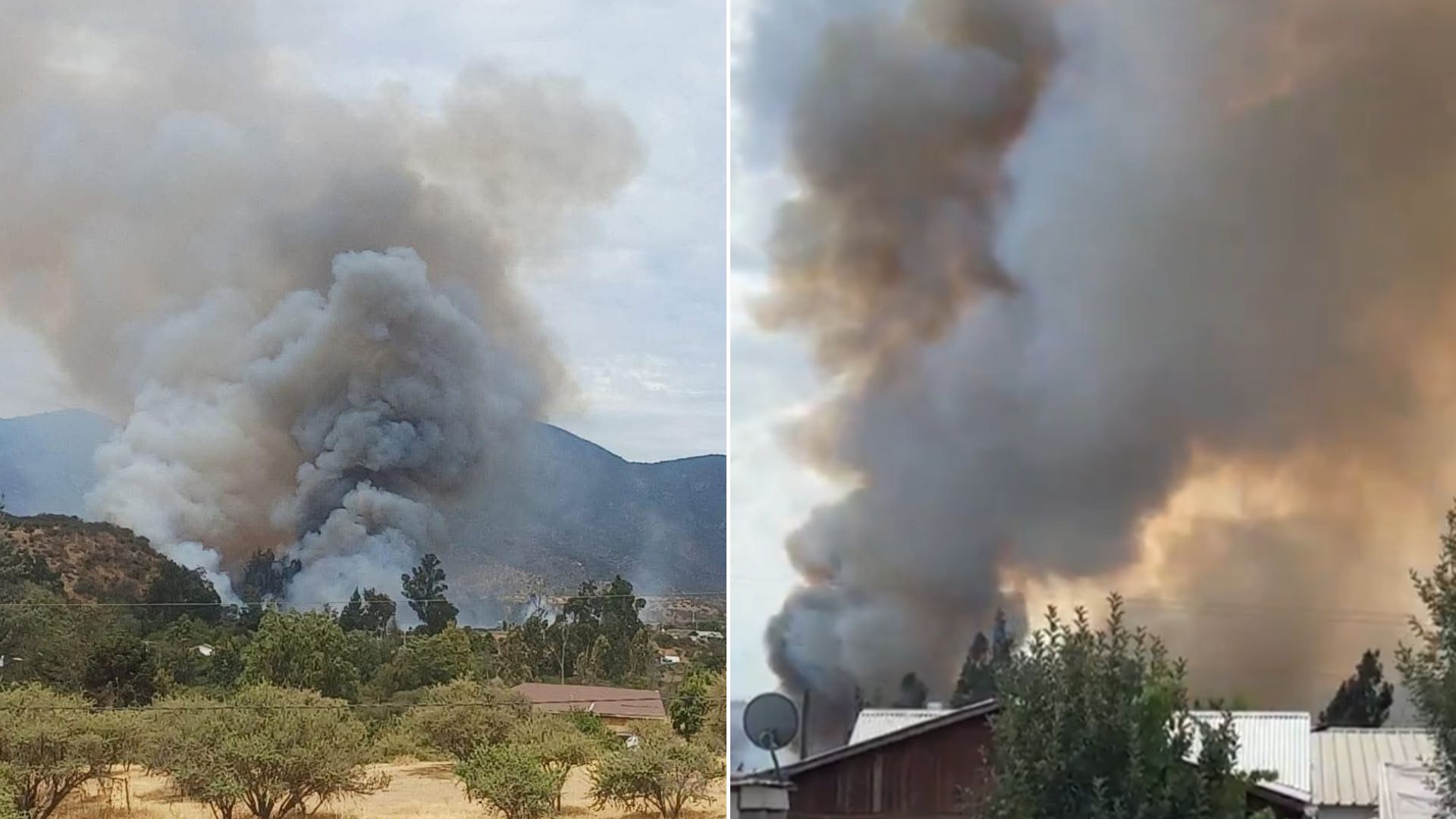 Declaran Alerta Roja en Melipilla por incendio forestal cercano a zonas habitadas