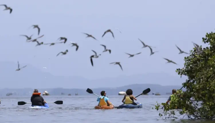 Especies migratorias