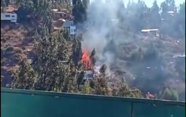 Incendio forestal en Valparaíso obliga a evacuar sector Miguel Ángel Alto: activan Alerta Roja