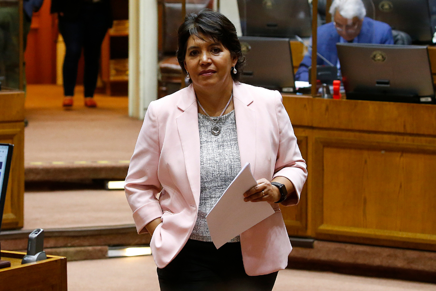 “Se requiere más seguridad y no menos”: Provoste critica recorte presupuestario de $72 mil millones en cartera