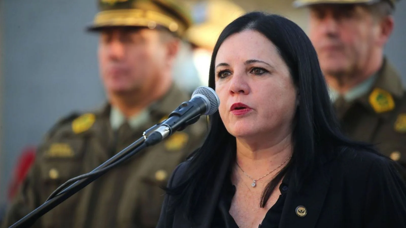 Seguridad pública o vendetta privada