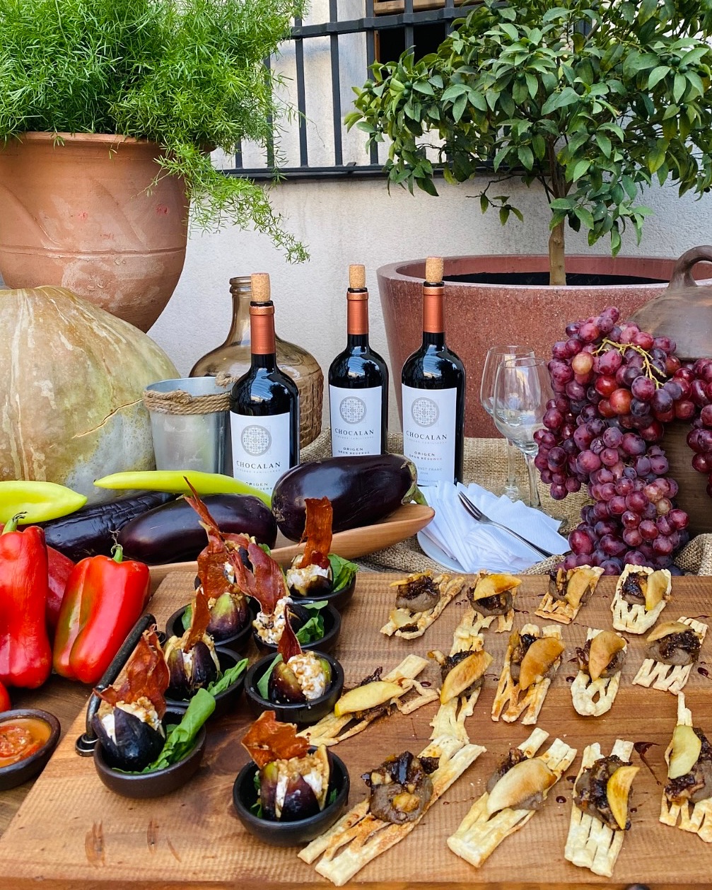 Sigue en la sombra pago del banquete de Sofía Jottar en La Moneda tras asunción de Kast