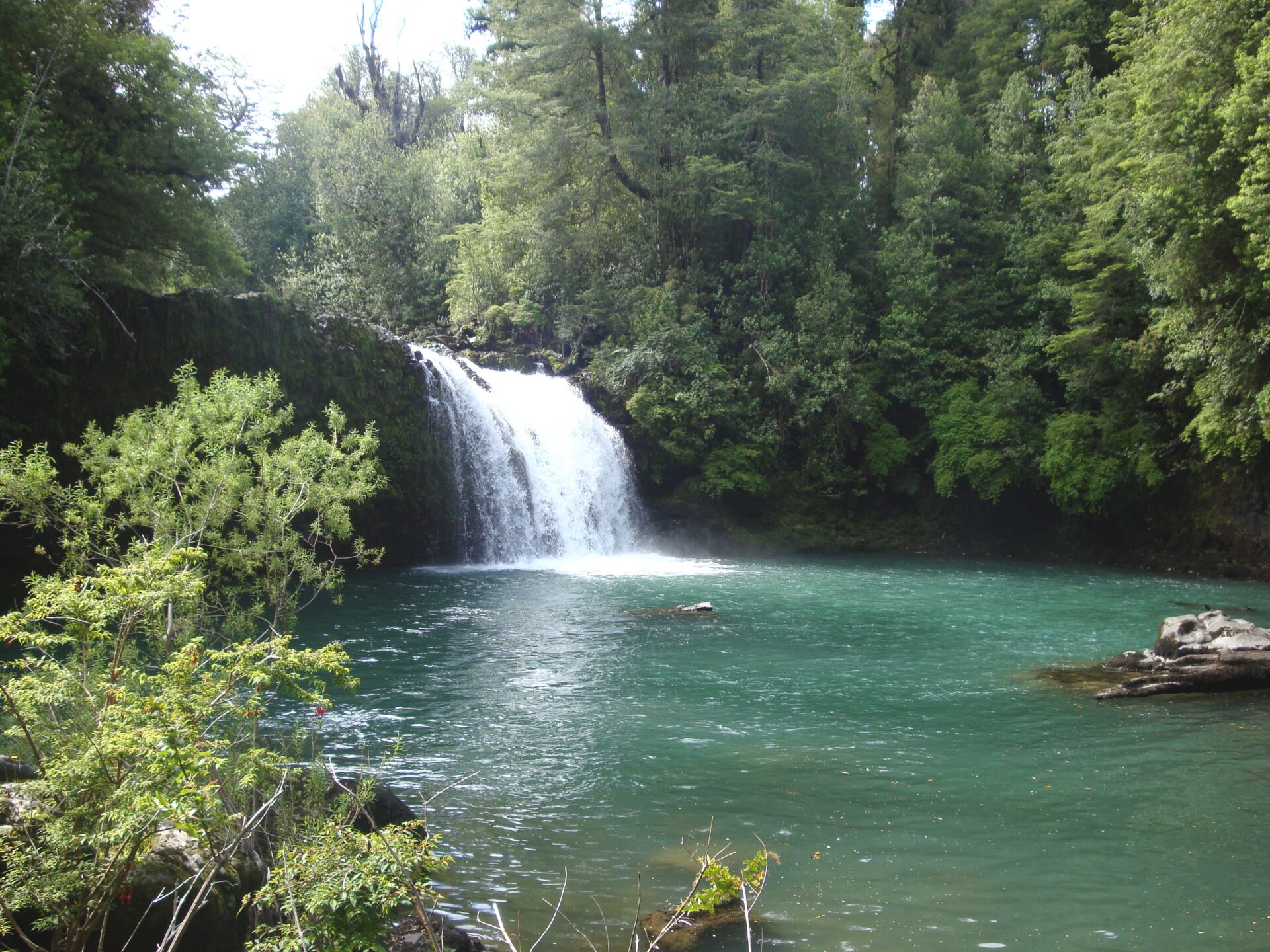 Aprueban construcción de tres edificios en Parque Nacional Puyehue