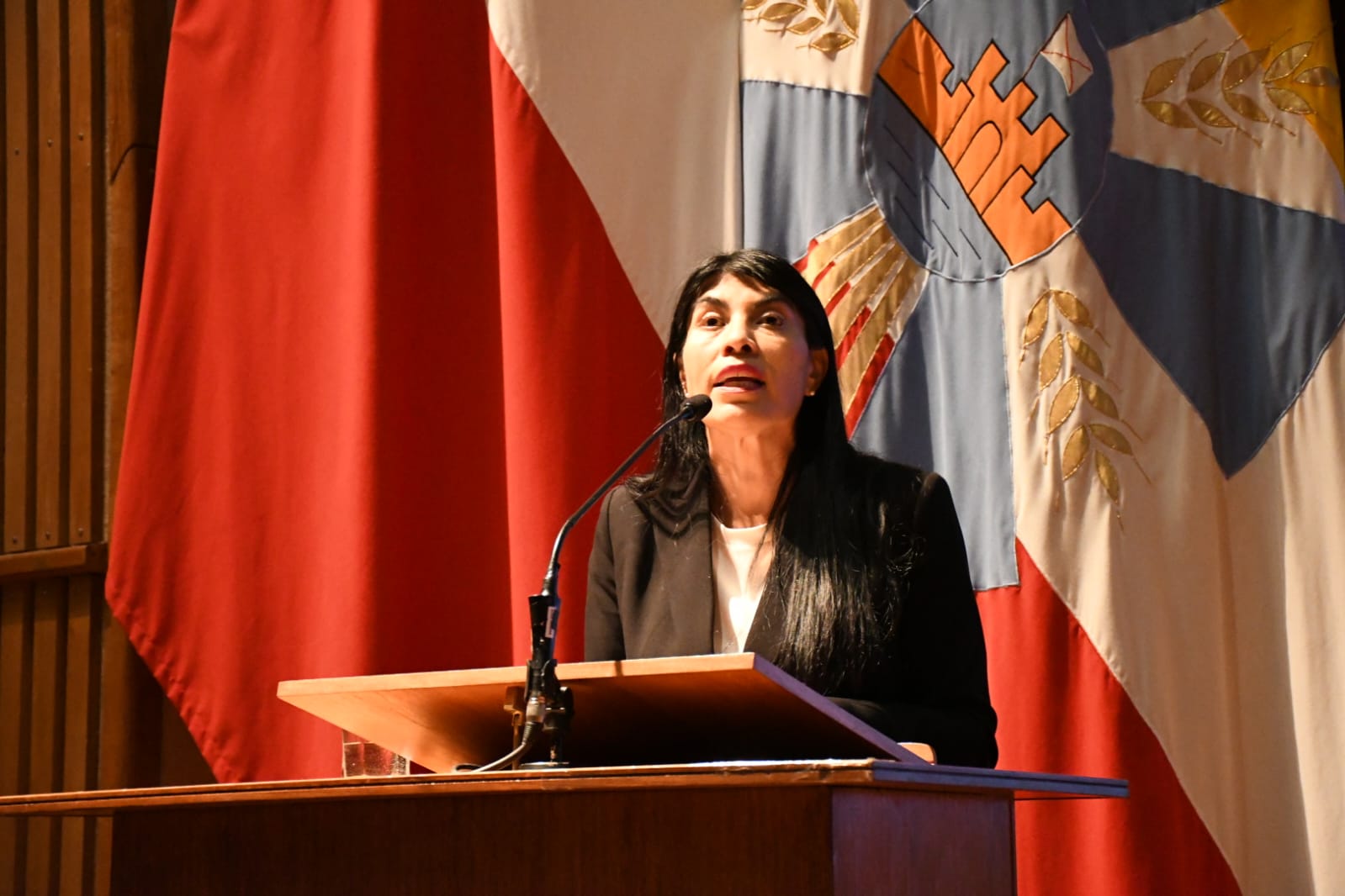 Gobierno anuncia querella contra quienes resulten responsables del ataque contra ministra Lincolao