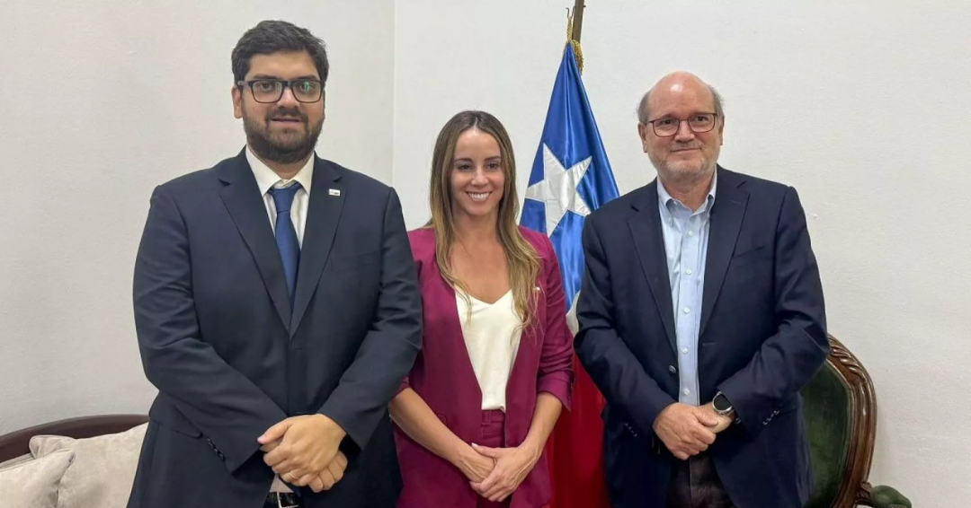 Patricio Dussaillant es nuevo presidente del directorio de TVN