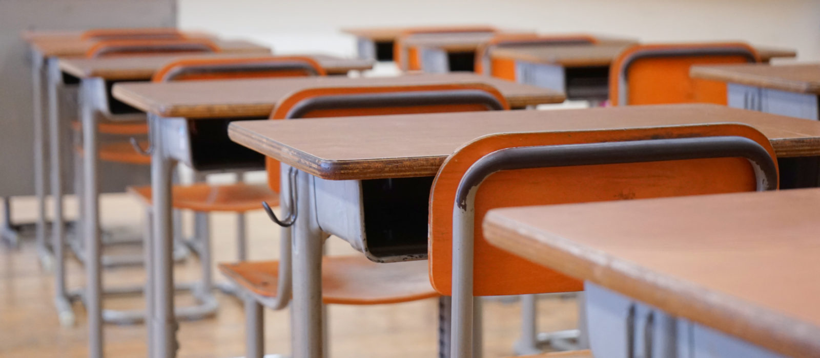 Sin vínculo, la violencia es inevitable