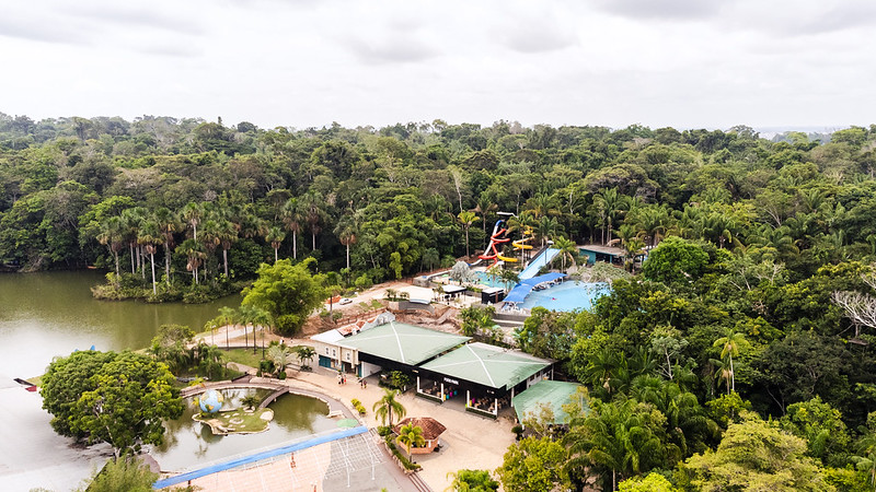 Aromas, paisajes e historia: 7 rutas del café para viajar por Brasil